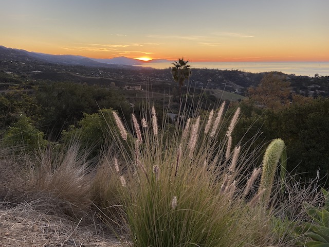 Sunrise over Ocean with grasses