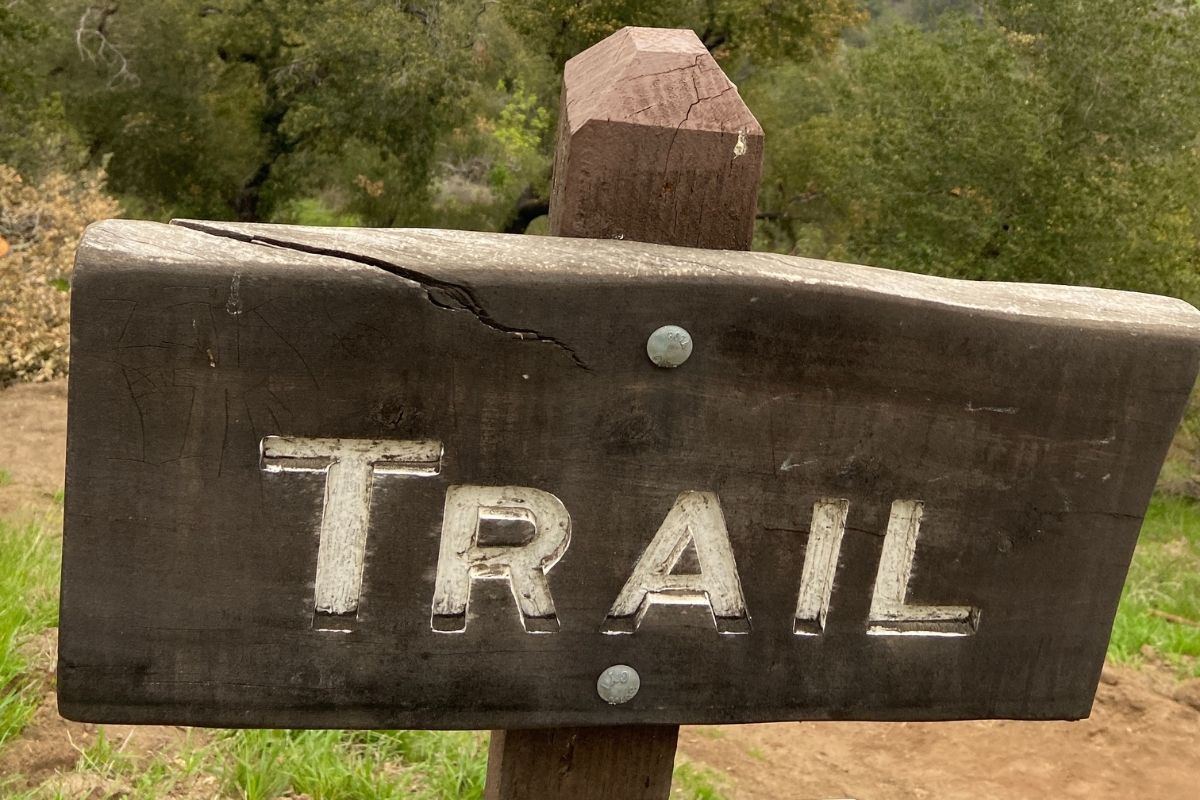 Trail sign with trees on path