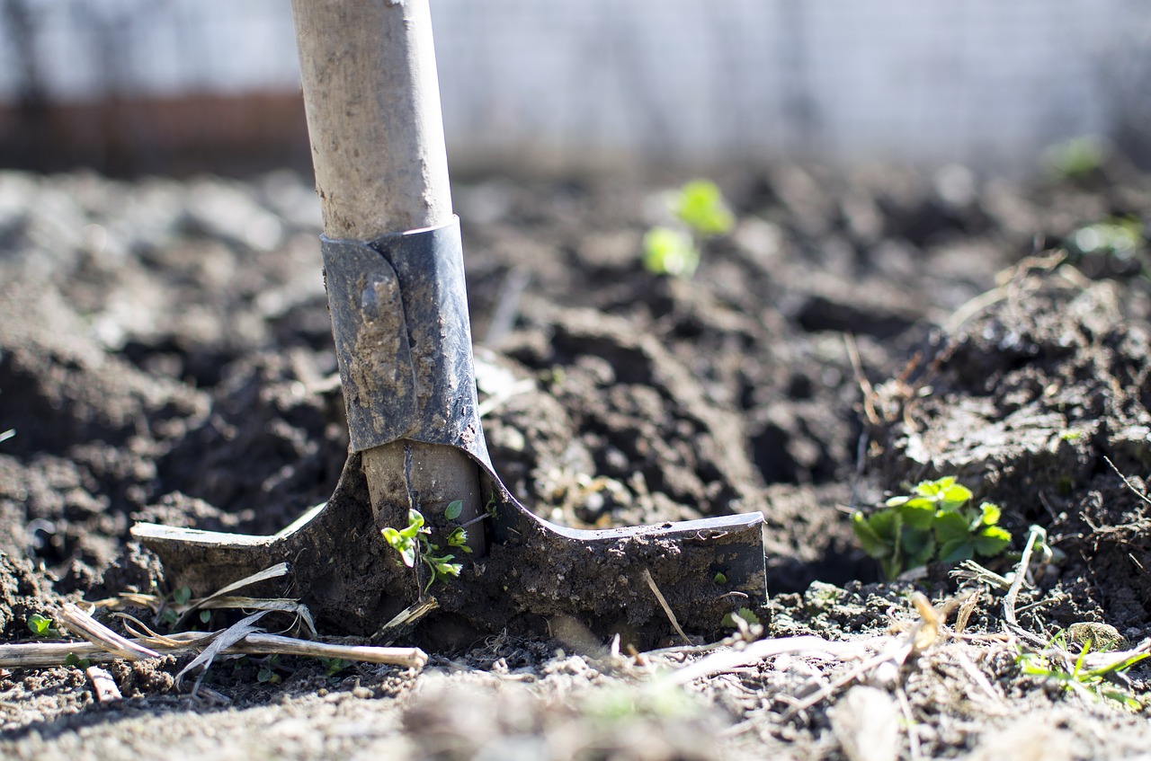 Shovel in dirt