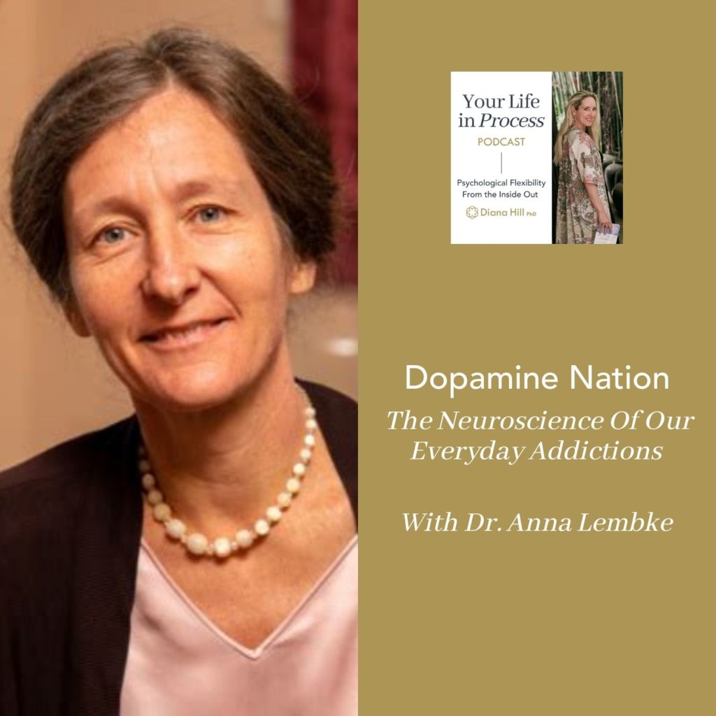 002 Cover YLIP Dopamine Nation_ The neuroscience of our everyday addictions with Anna Lembke
