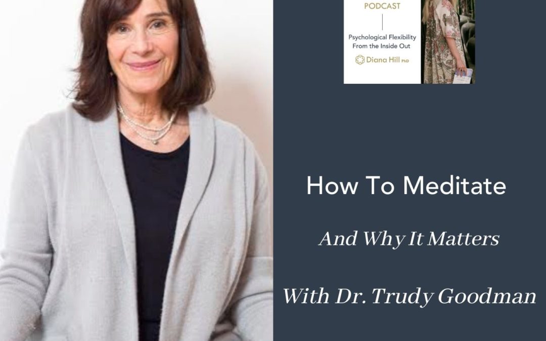 004 Cover YLIP How To Meditate And Why It Matters With Trudy Goodman