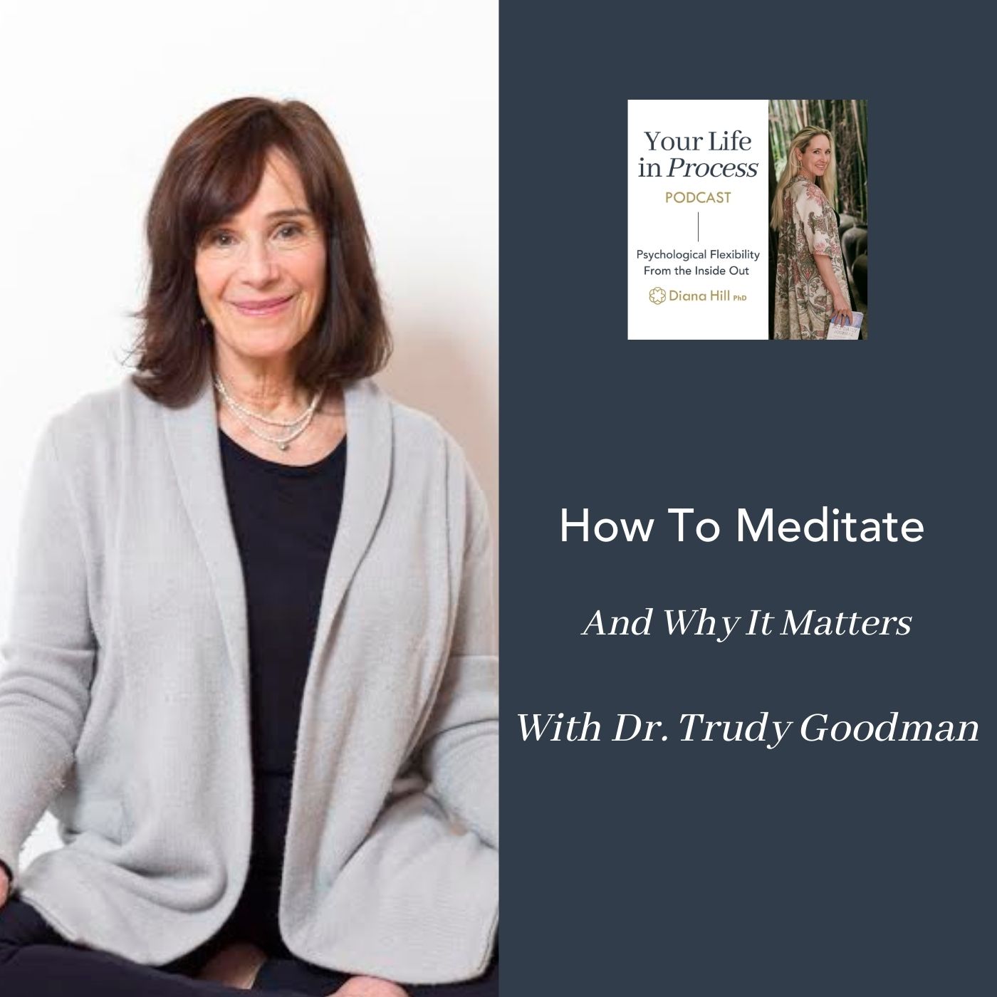 004 Cover YLIP How To Meditate And Why It Matters With Trudy Goodman