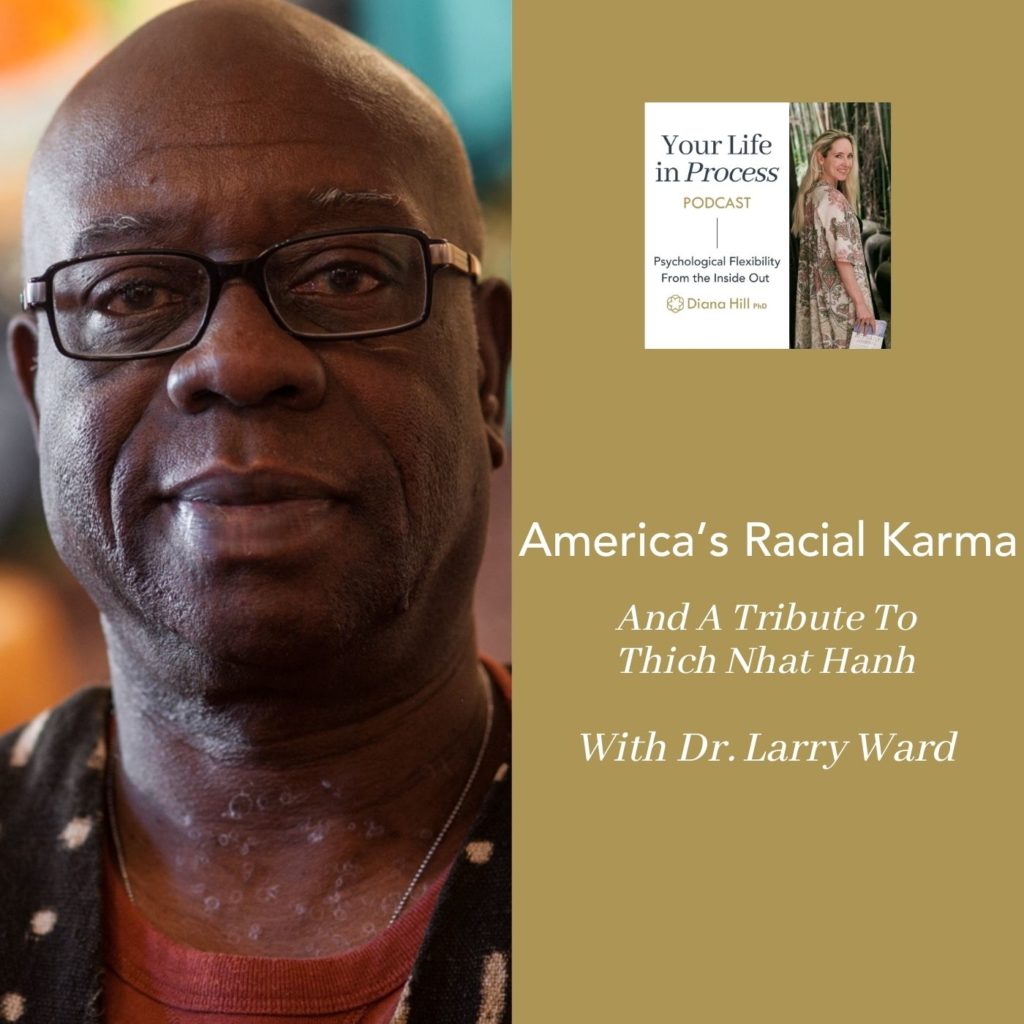 008 Cover YLIP America’s Racial Karma and a Tribute to Thich Nhat Hanh with Dr. Larry Ward
