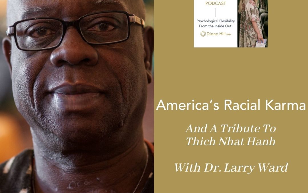 008 Cover YLIP America’s Racial Karma and a Tribute to Thich Nhat Hanh with Dr. Larry Ward