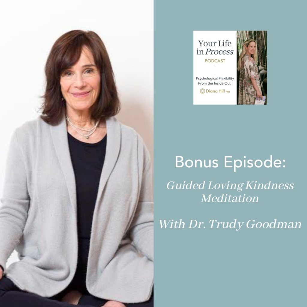 008b cover YLIP Bonus Guided Loving Kindness Meditation with Trudy Goodman