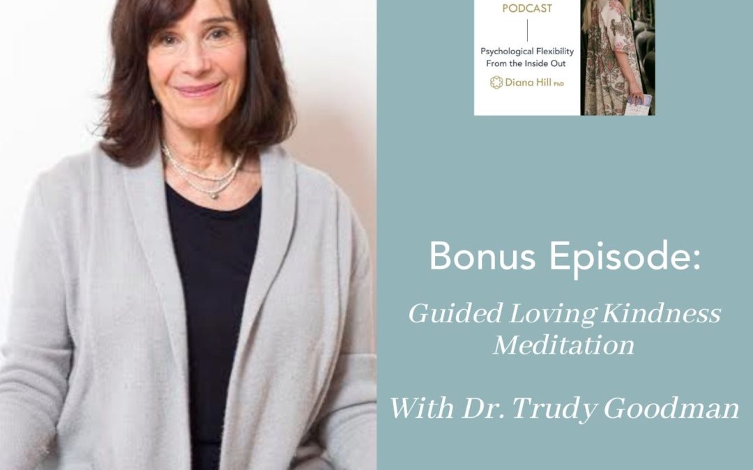 008b cover YLIP Bonus Guided Loving Kindness Meditation with Trudy Goodman