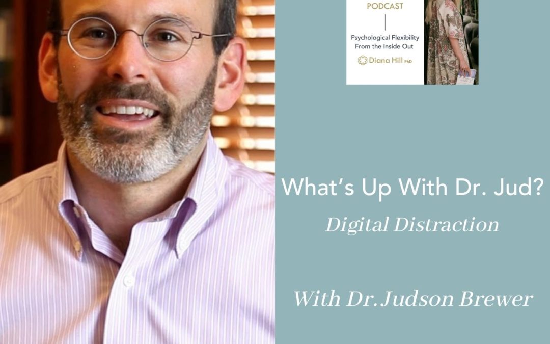 011 Cover YLIP What’s Up With Dr. Jud? Digital Distraction with Judson Brewer