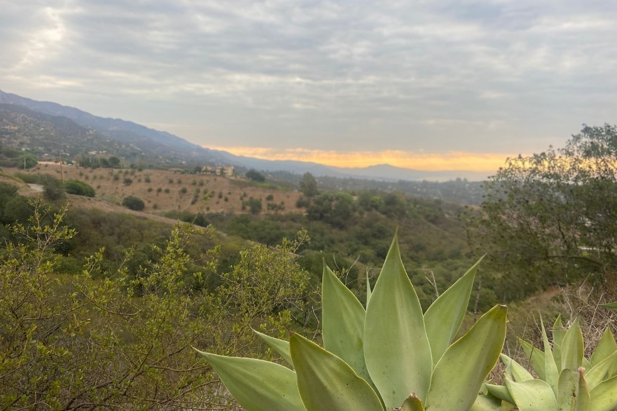 agave cloudy mountain path