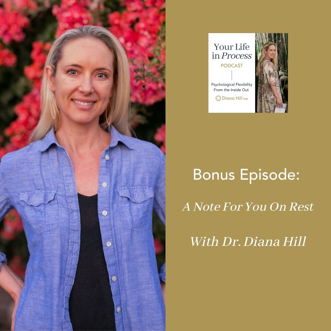 017B Cover Ylip Bonus Episode A Note For You On Rest From Dr. Diana Hill