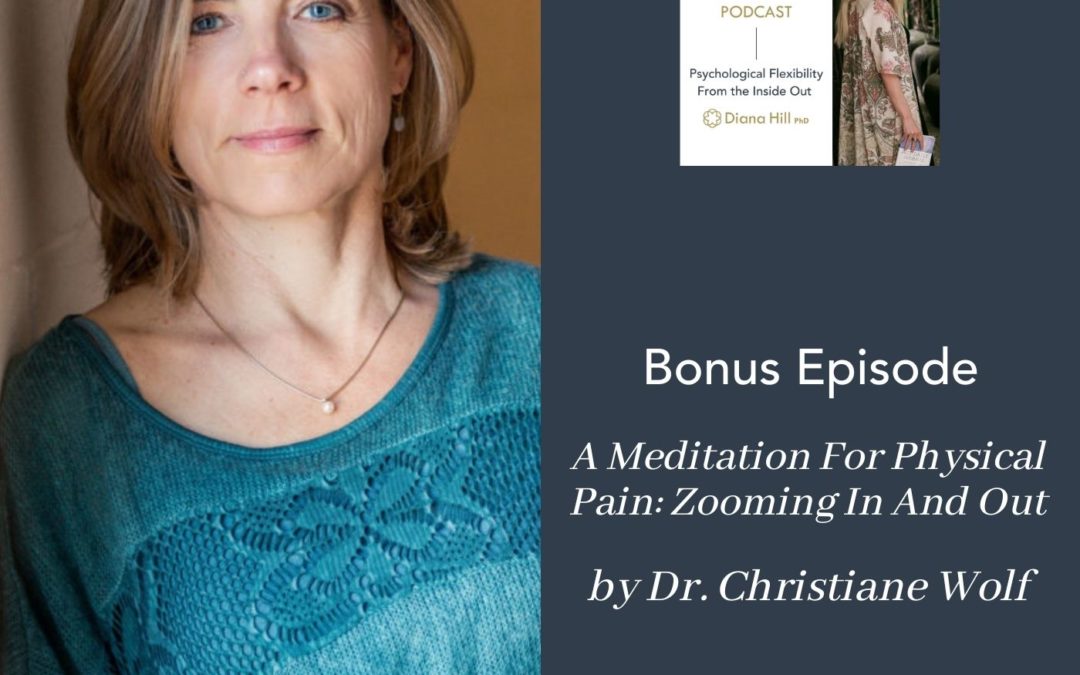 021b Cover YLIP Bonus A Meditation For Physical Pain: Zooming In And Out