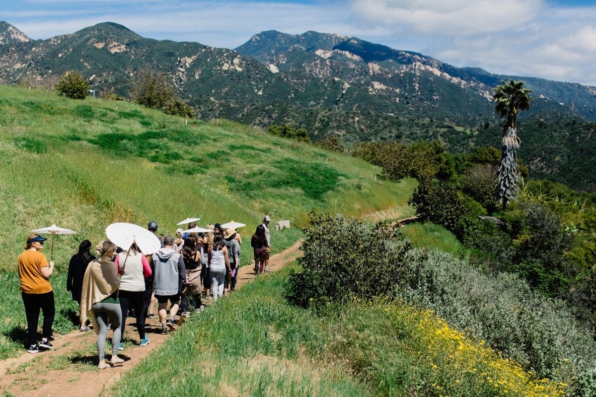 people walking on trail in nature