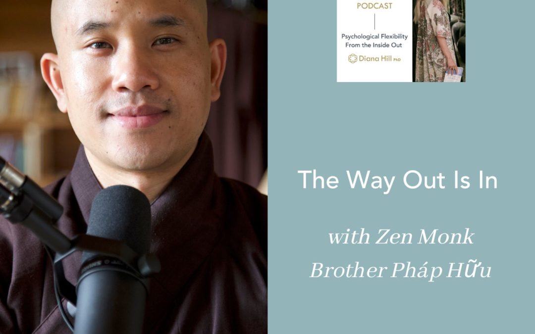 037 Cover YLIP The Way Out Is In with Zen Monk Brother Phap Huu