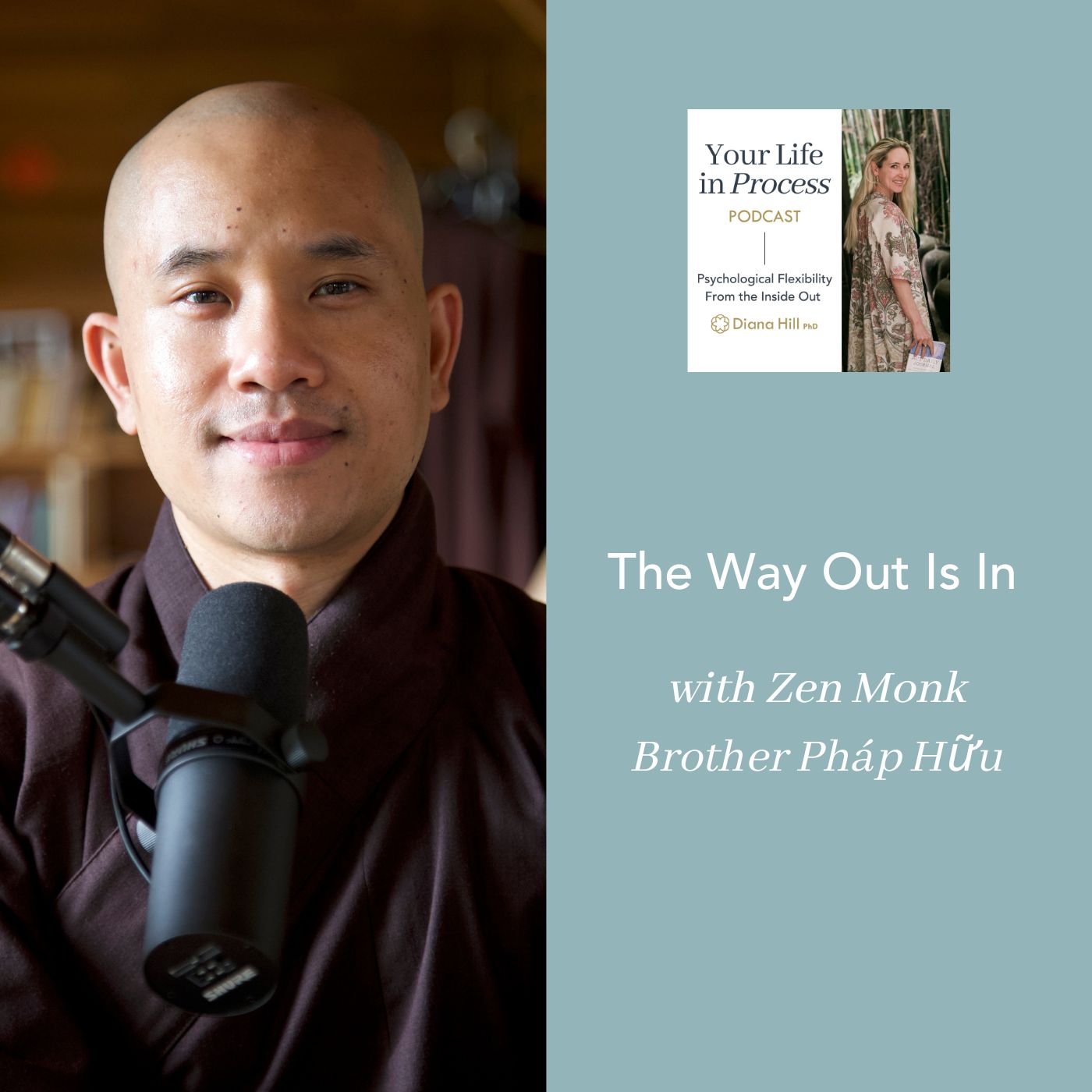 037 Cover YLIP The Way Out Is In with Zen Monk Brother Phap Huu