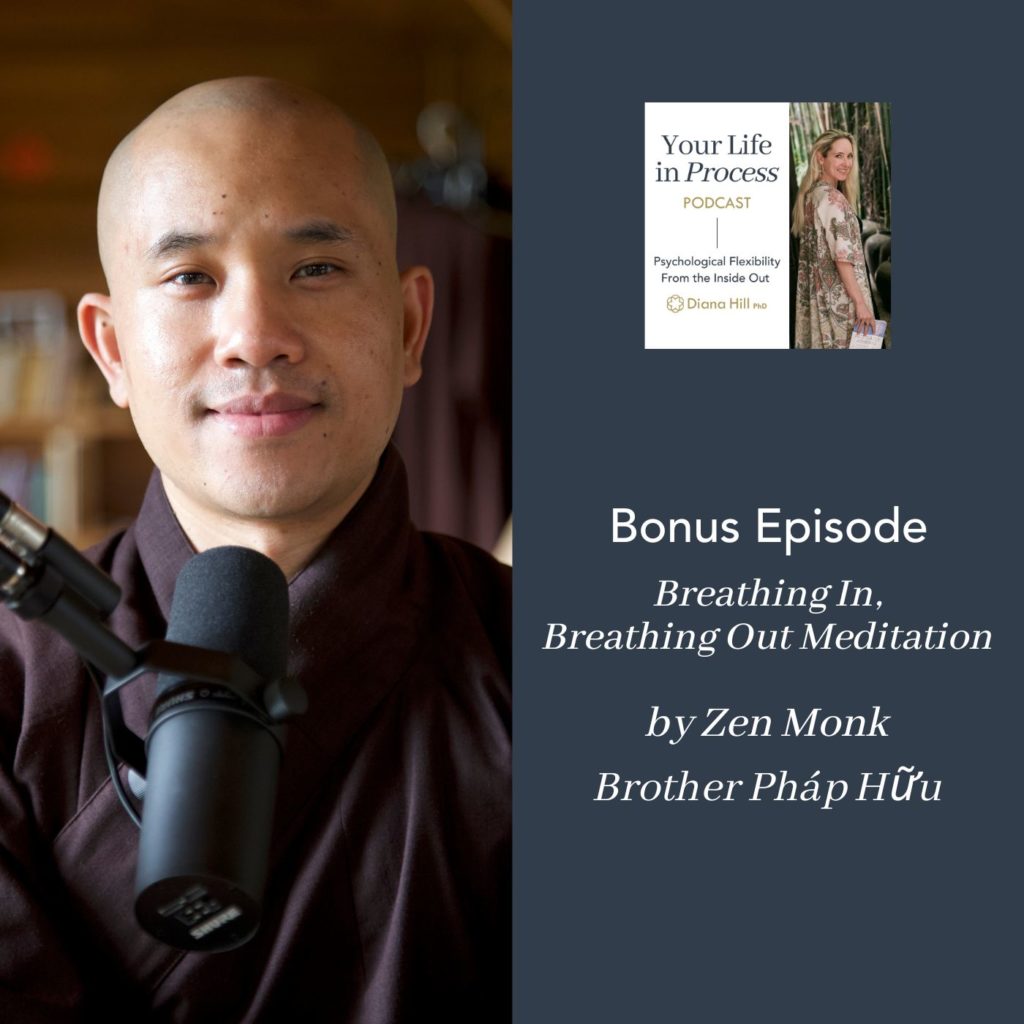 037b Cover YLIP Bonus Episode Breathing In, Breathing Out Meditation by Zen Monk Brother Phap Huu