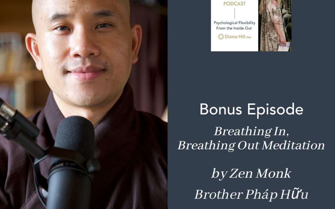 037b Cover YLIP Bonus Episode Breathing In, Breathing Out Meditation by Zen Monk Brother Phap Huu