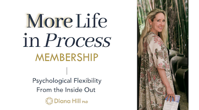 MORE Life in Process Membership Cover