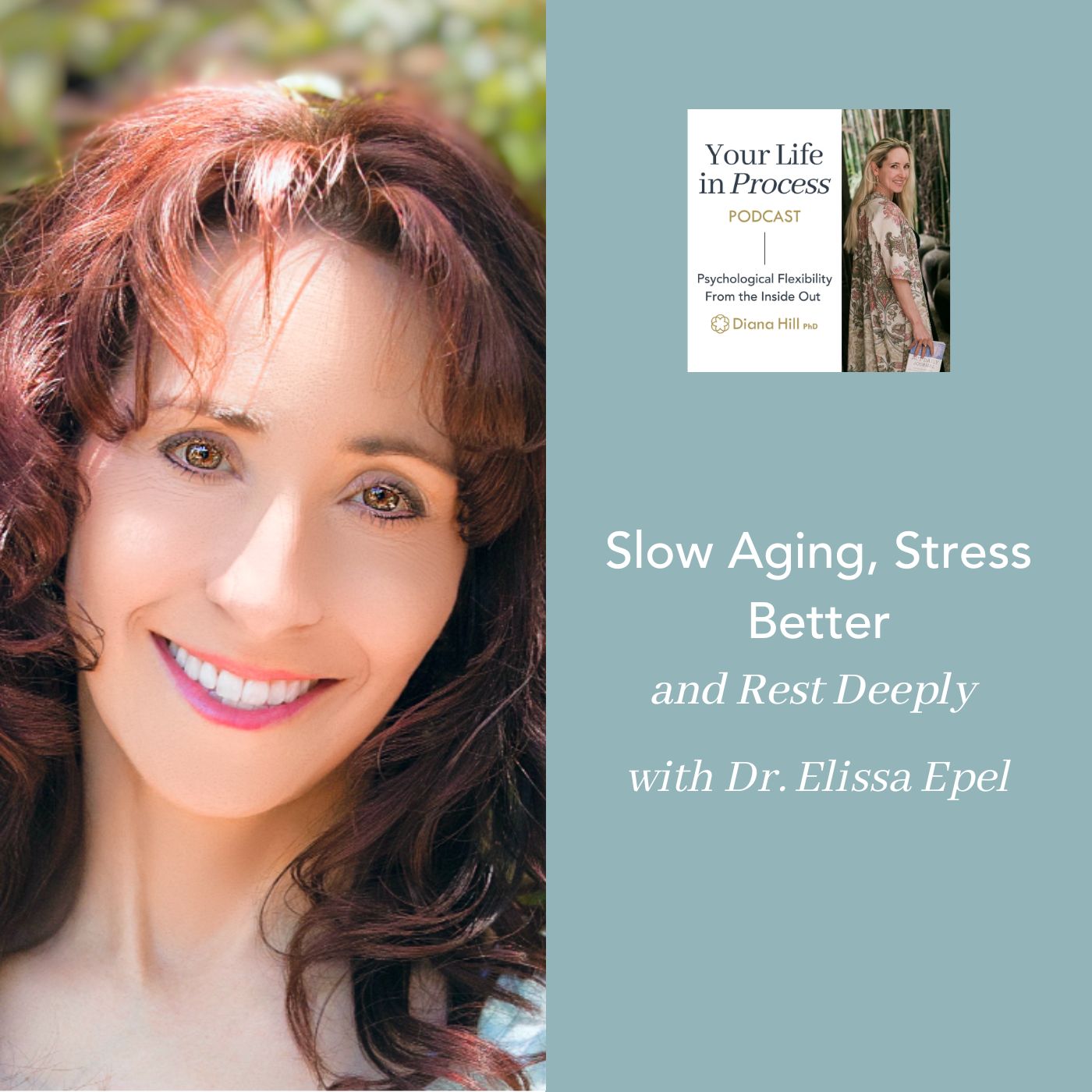 048 Cover YLIP Slow Aging, Stress Better, and Rest Deeply with Dr. Elissa Epel