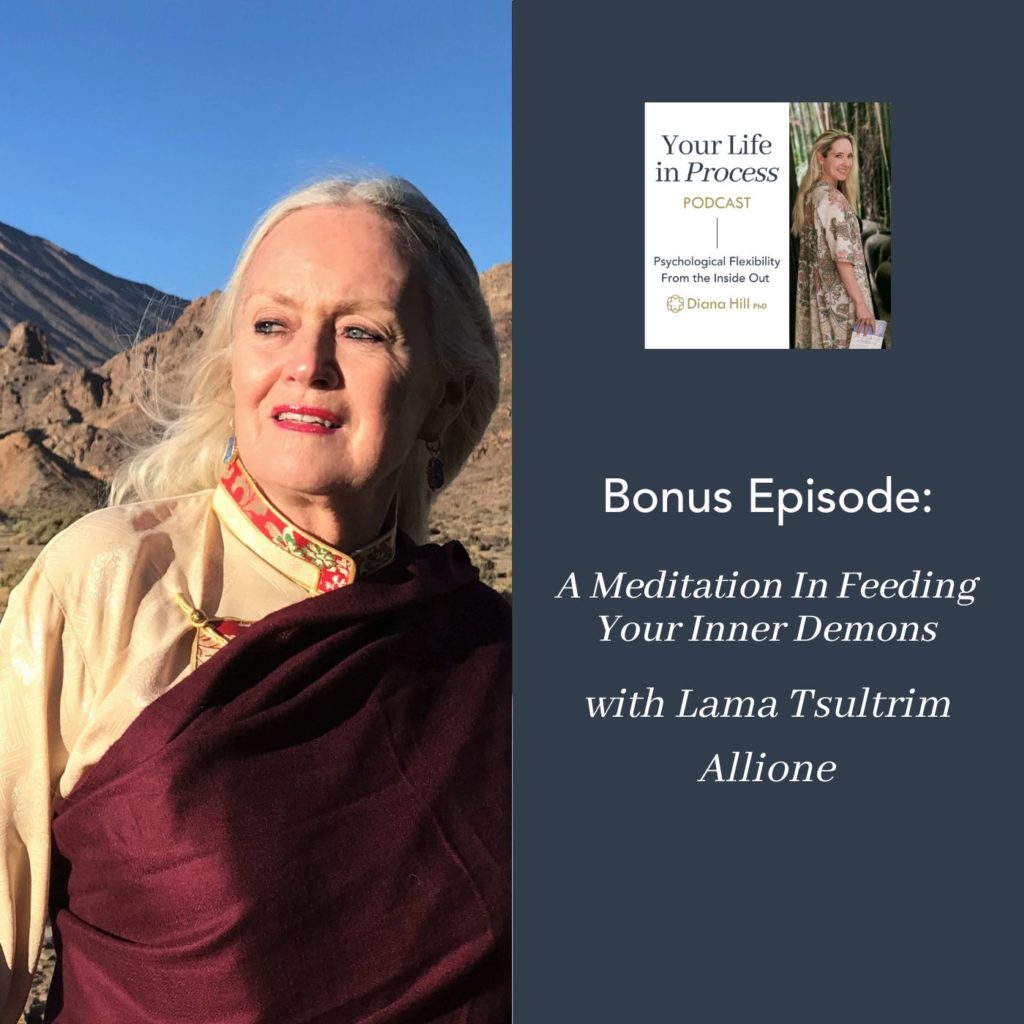 054b Cover YLIP A Meditation In Feeding Your Inner Demons with Lama Tsultrim Allione