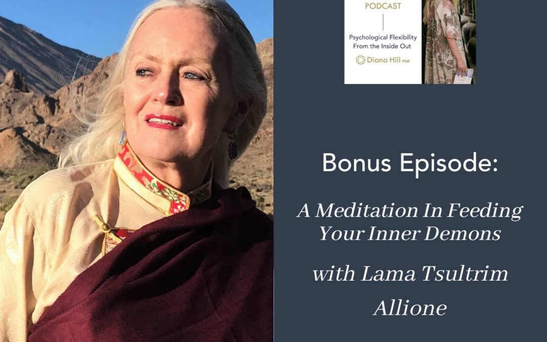 054b Cover YLIP A Meditation In Feeding Your Inner Demons with Lama Tsultrim Allione