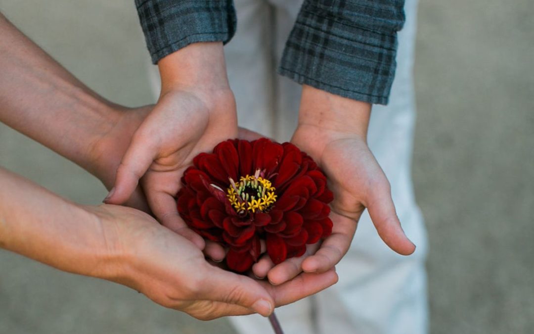 child and parent hands holding flower