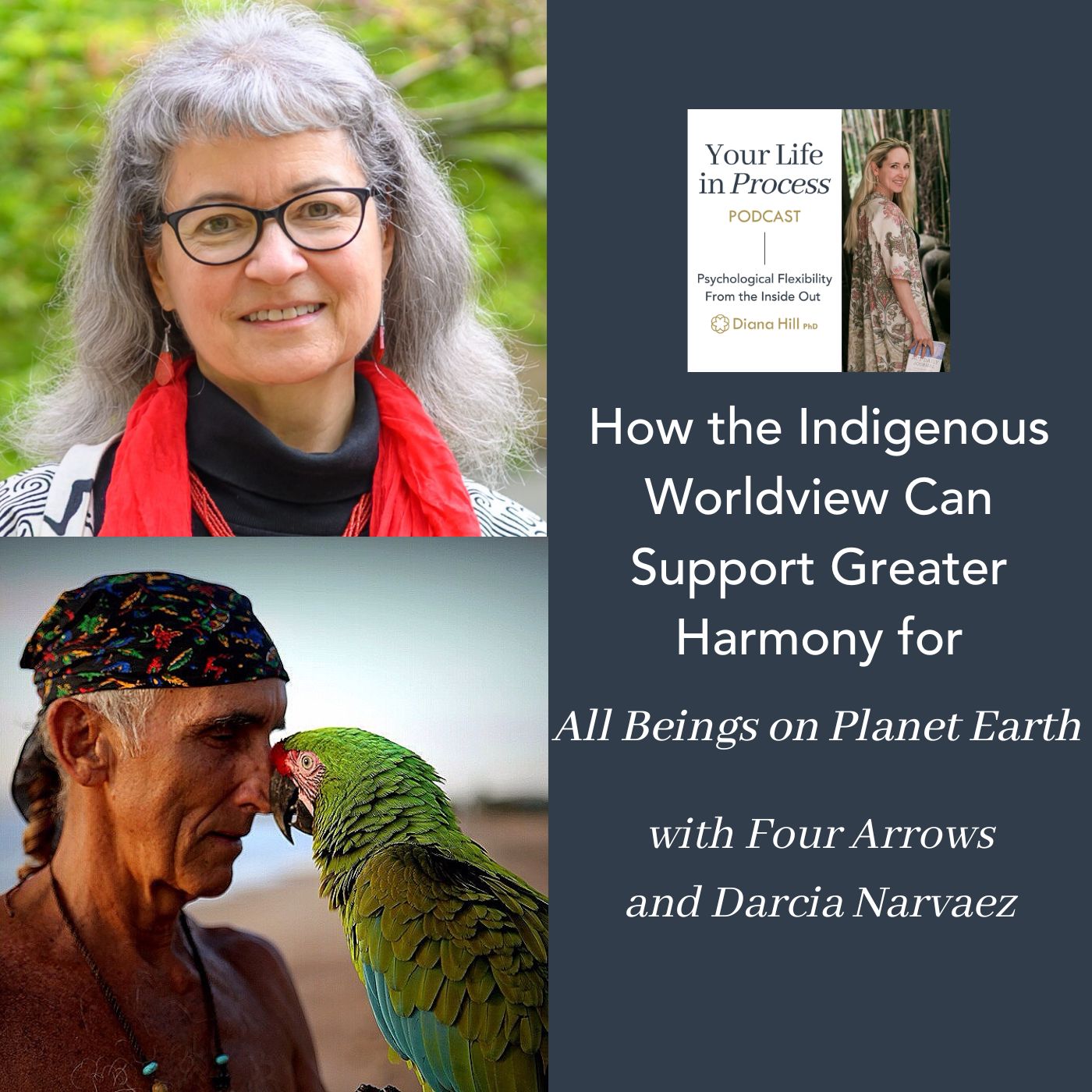 063 Cover YLIP How the Indigenous Worldview Can Support Greater Harmony for All Beings on Planet Earth With Four Arrows and Darcia Narvaez