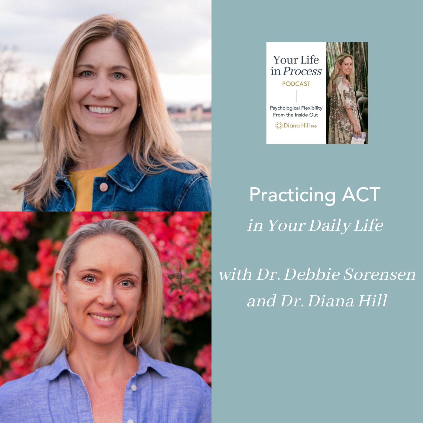 065 Cover YLIP Practicing ACT in Your Daily Life with Dr. Debbie Sorensen and Dr. Diana Hill