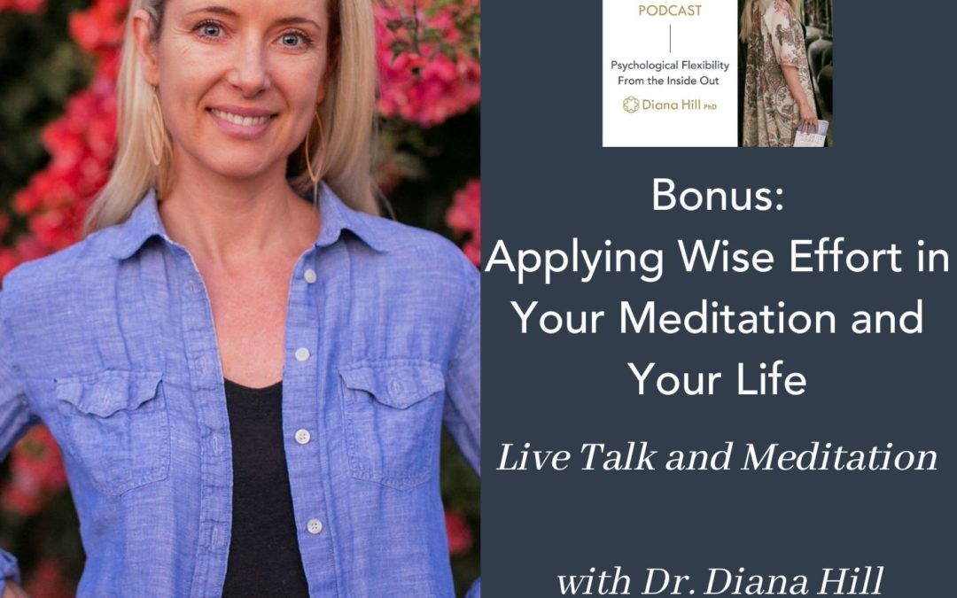 065b Cover YLIP Bonus Applying Wise Effort in Your Meditation And Your Life (live talk and meditation) with Dr. Diana Hill