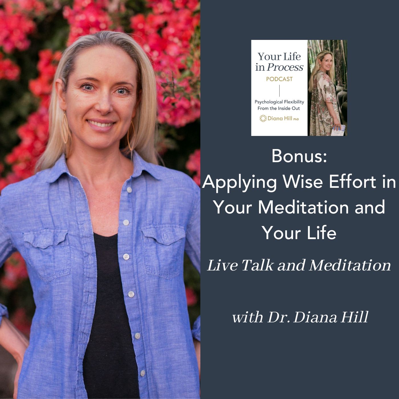 065b Cover YLIP Bonus Applying Wise Effort in Your Meditation And Your Life (live talk and meditation) with Dr. Diana Hill