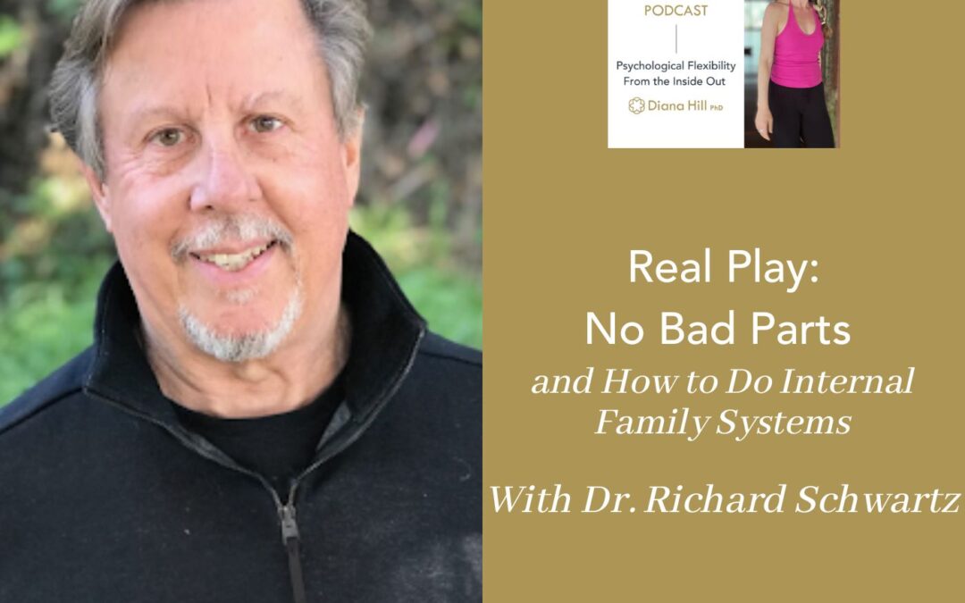 072 Cover YLIP Real Play No Bad Parts and How to Do IFS With Dr. Richard Schwartz