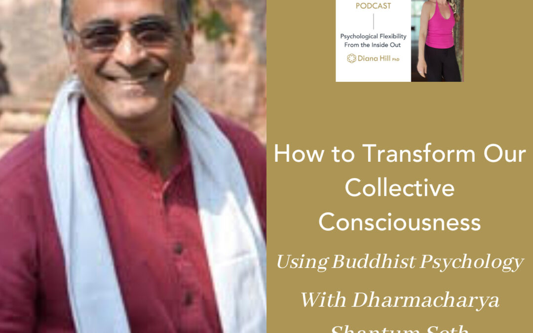 How to Transform Our Collective Consciousness Using Buddhist Psychology With Dharmacharya Shantum Seth