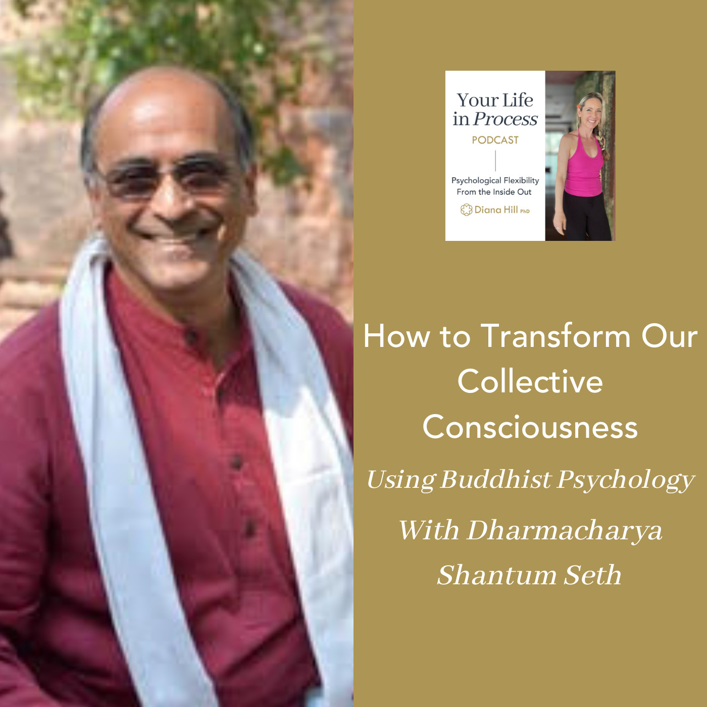 How to Transform Our Collective Consciousness Using Buddhist Psychology With Dharmacharya Shantum Seth