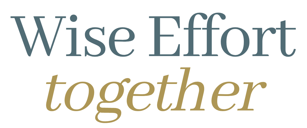 Wise Effort together - logo-large