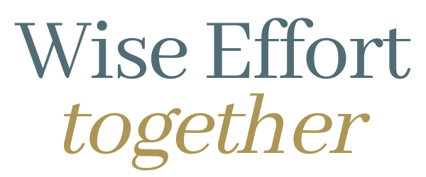 Wise Effort together - logo-small