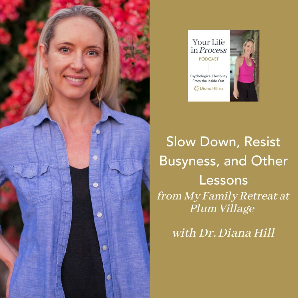 078 Cover YLIP Slow Down, Resist Busyness, and Other Lessons from My Family Retreat at Plum Village with Dr. Diana Hill
