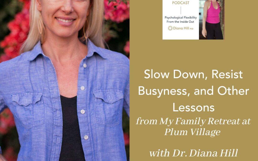 078 Cover YLIP Slow Down, Resist Busyness, and Other Lessons from My Family Retreat at Plum Village with Dr. Diana Hill