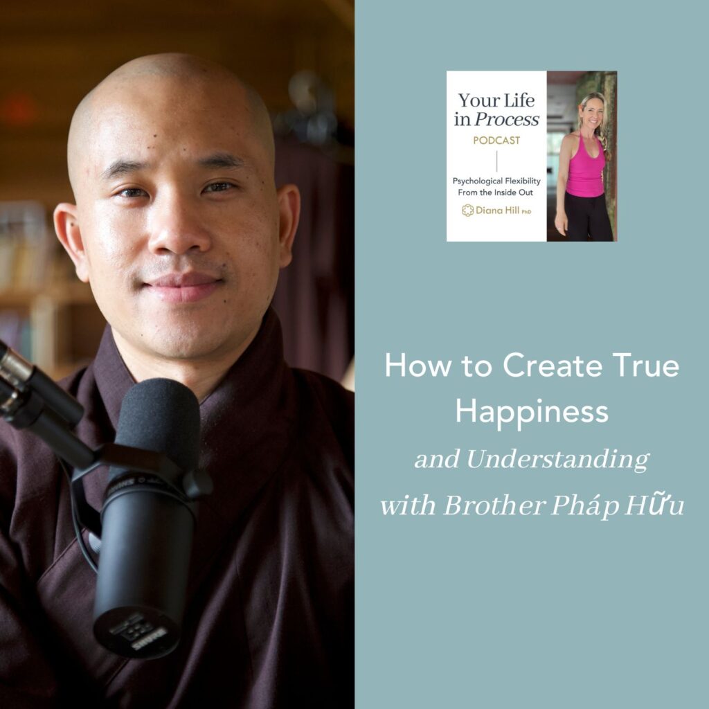 How to Create True Happiness, and Understanding with Brother Pháp Hữu