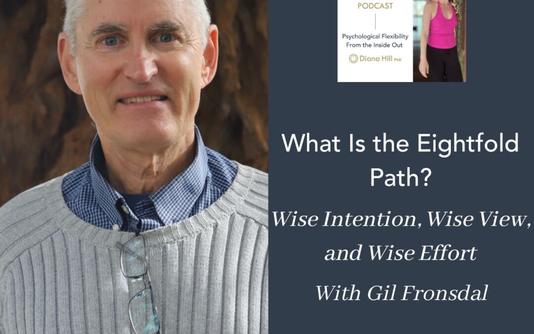 What Is the Eightfold Path Wise Intention, Wise View, and Wise Effort With Gil Fronsdal