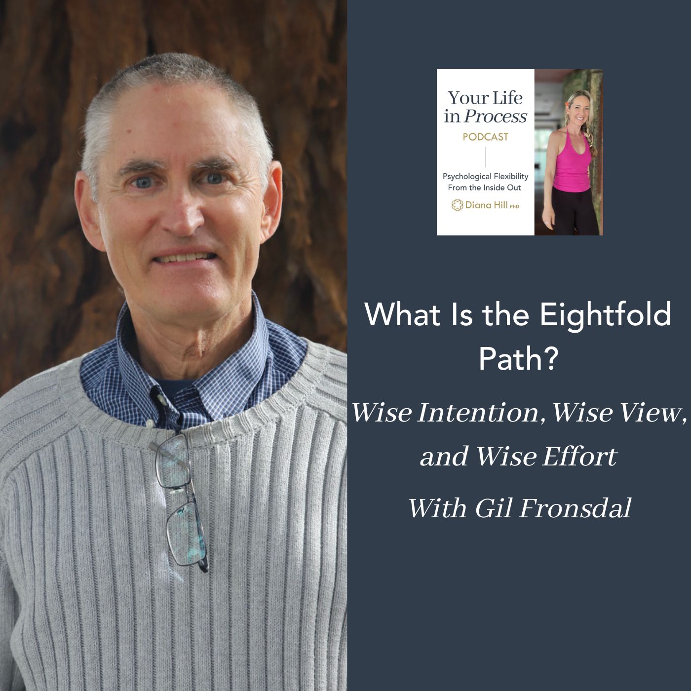 What Is the Eightfold Path Wise Intention, Wise View, and Wise Effort With Gil Fronsdal