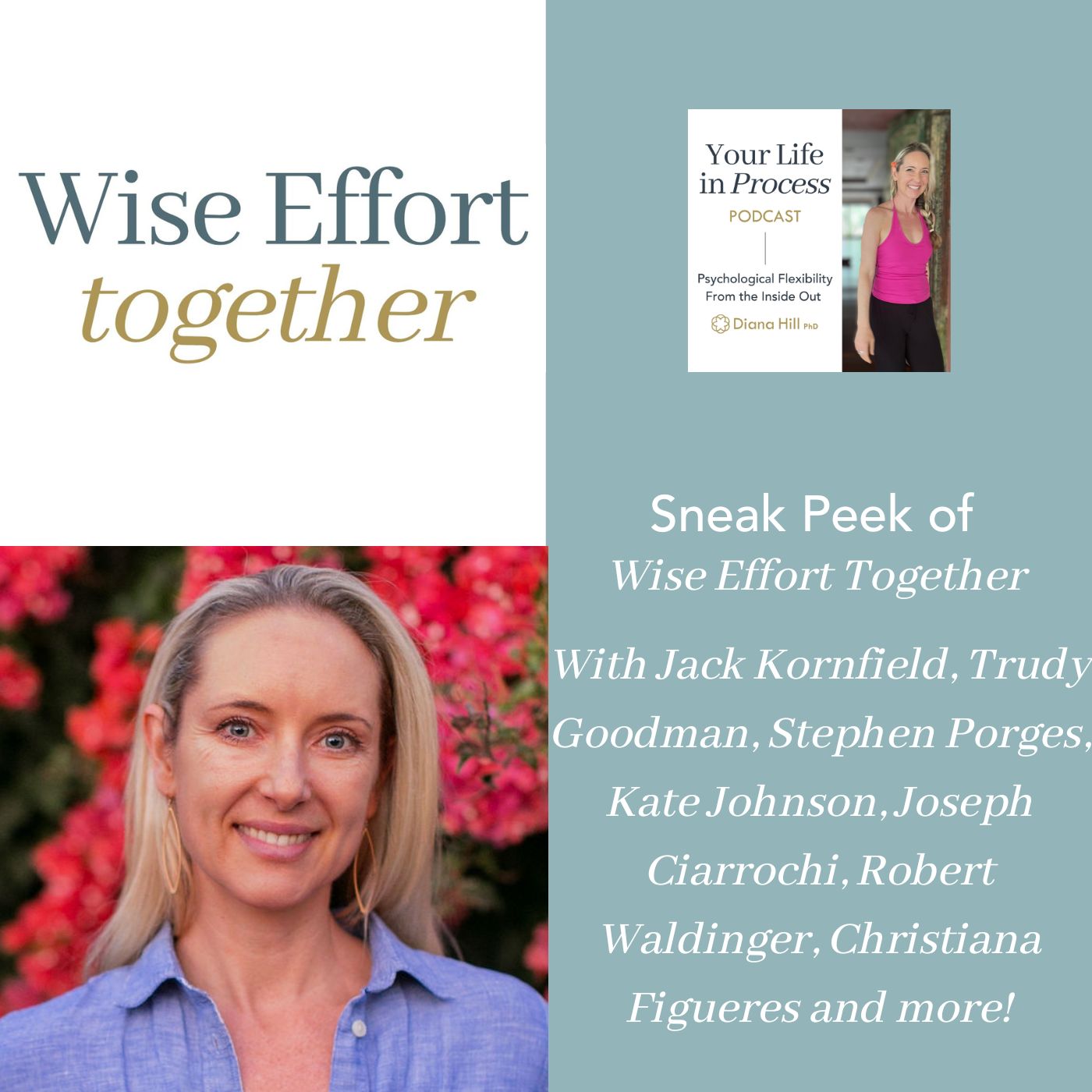 Sneak Peek of Wise Effort Together with Dr Diana Hill