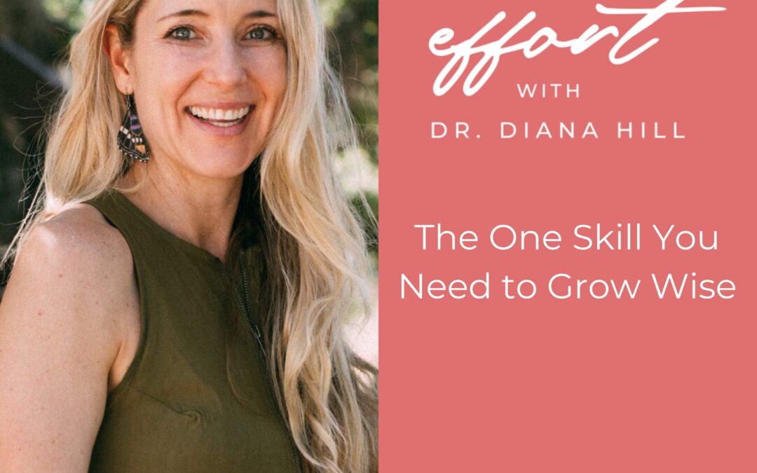 104 Cover WE The One Skill You Need to Grow Wise With Dr. Diana Hill