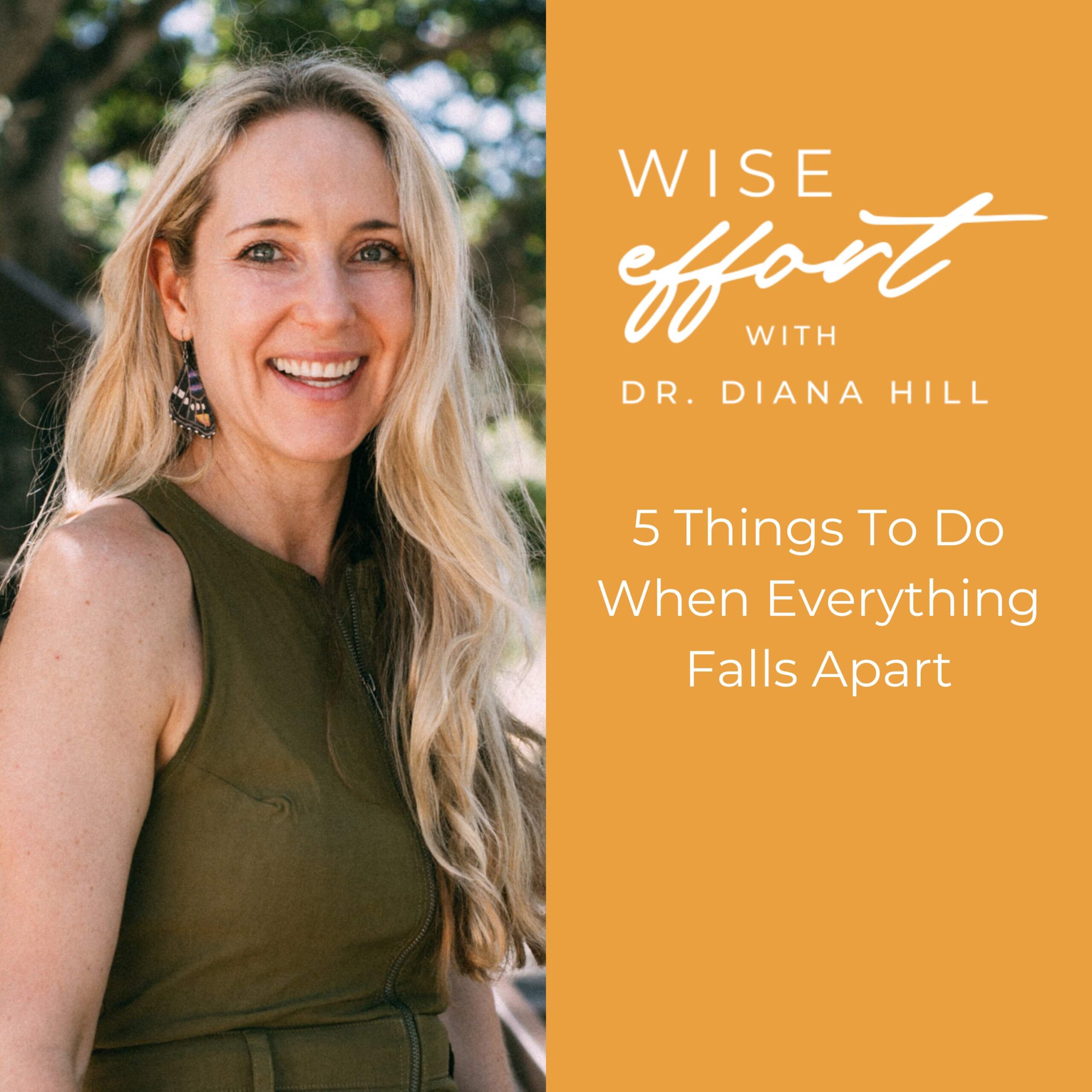 5 Things to Do When Everything Falls Apart with Dr. Diana Hill | ACT Psychologist | Leadership Coach | Wise Effort