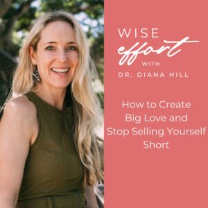 Wise Effort | ACT Psychologist & Leadership Coach