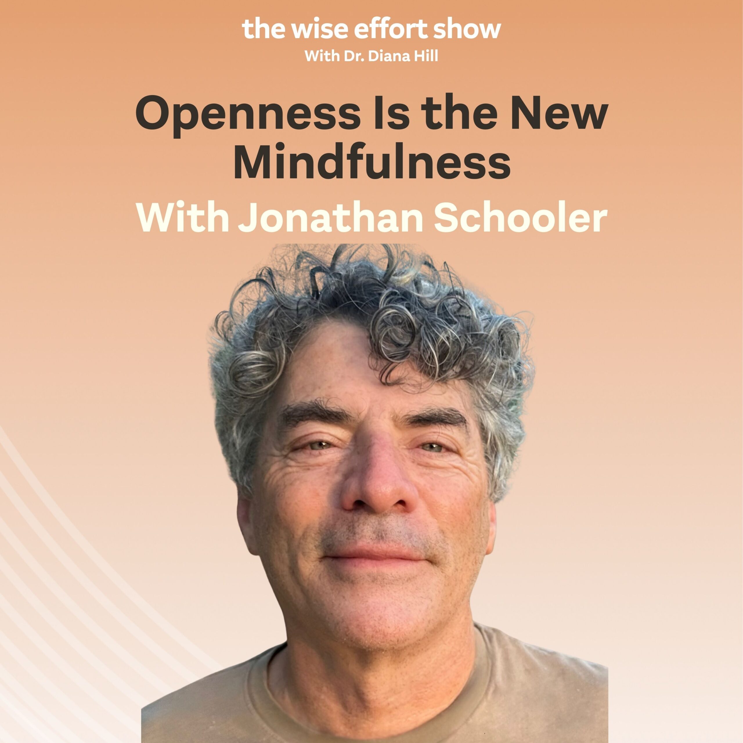 Openness Is the New Mindfulness With Jonathan Schooler and Dr. Diana Hill | ACT Psychologist | Leadership Coach | Wise Effort