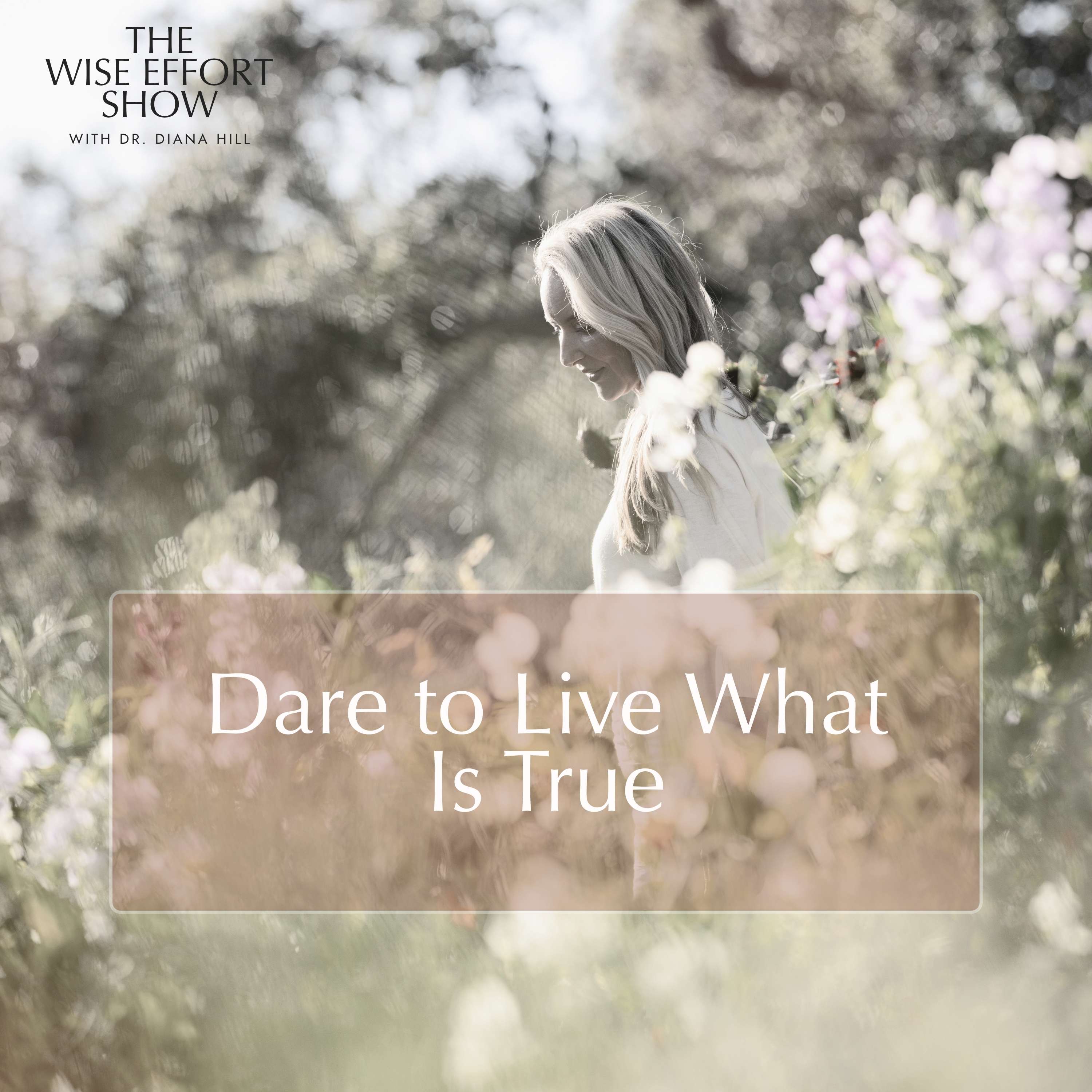 Dare to Live What Is True and Dr. Diana Hill ACT Psychologist Leadership Coach Wise Effort